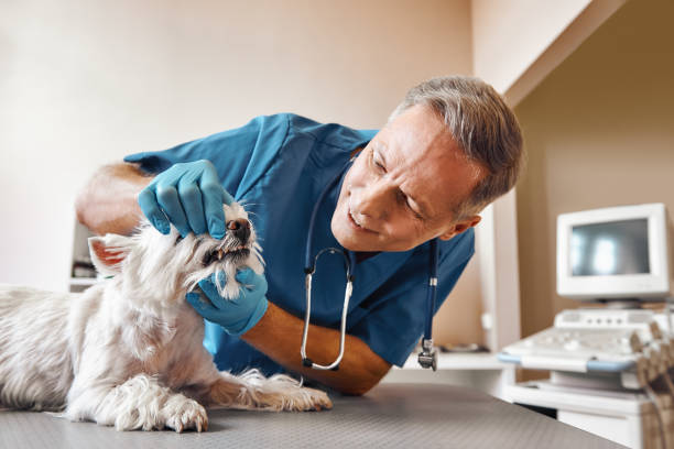 Best Broken Tooth Emergency  in Dewitt, AR